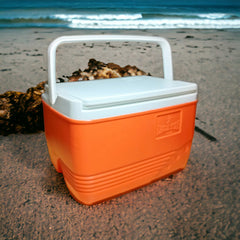 Family size Travelling ice box 12.5L