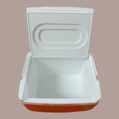 Traveling Ice Box  5.5 L