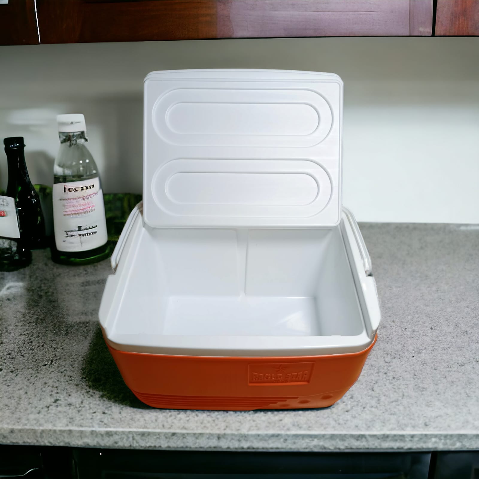 Family size Travelling ice box