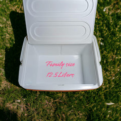 Family size Travelling ice box