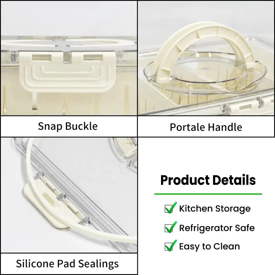 Compartment Snack Box With Lid & Handle